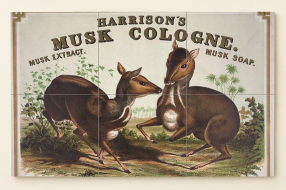 Mural de colonia de almizcle vintage — vista 3