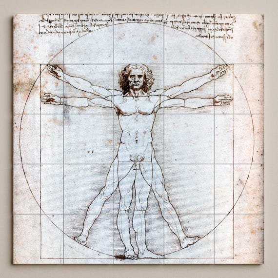 El Hombre de Vitruvio de Leonardo da Vinci — vista 4