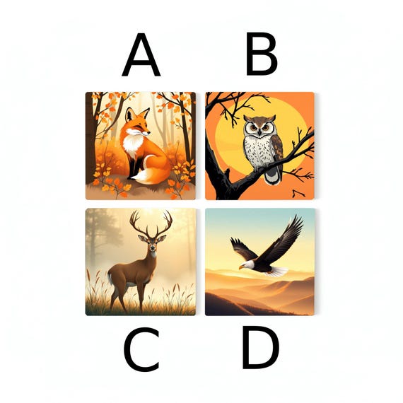 Diseño de animales del bosque, decoración forestal — vista 3