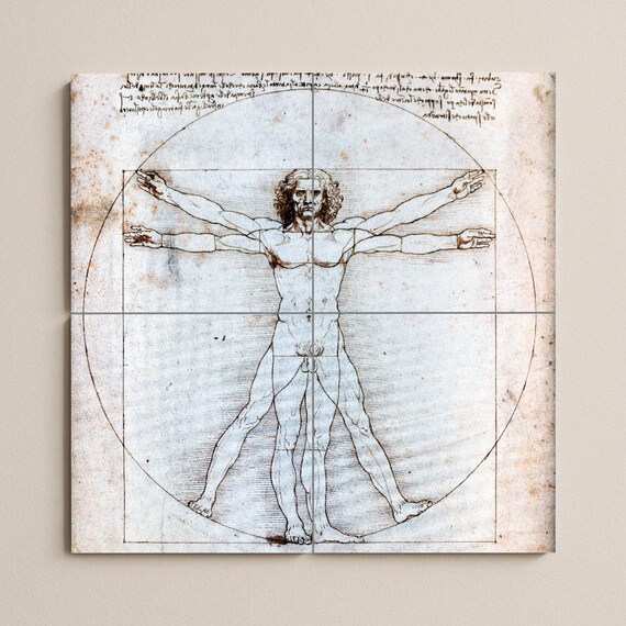 El Hombre de Vitruvio de Leonardo da Vinci — vista 2