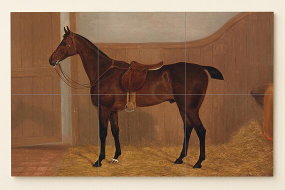 Mural de caballo ecuestre — vista 3